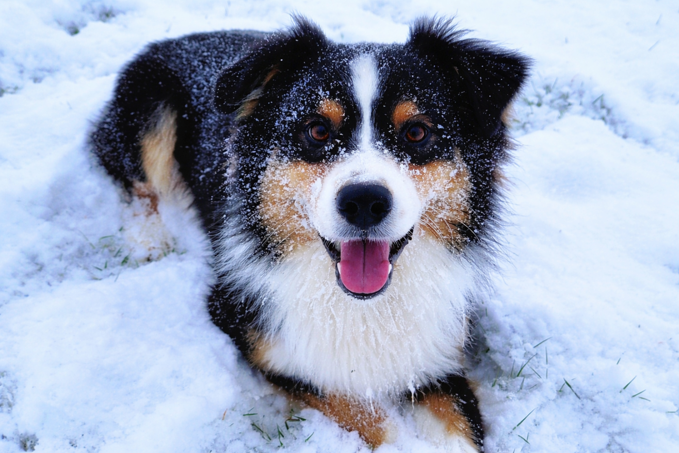  The way to london of blue highway